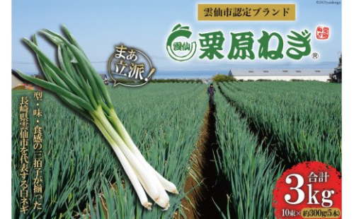 【期間限定発送】 ねぎ 雲仙栗原ねぎ 約300g（5本）×10束 計3kg [栗原ねぎ 長崎県 雲仙市 item1895] ネギ 白ネギ 野菜 10束 3キロ 141516 - 長崎県雲仙市