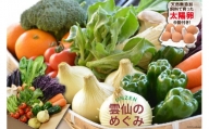 ”雲仙のめぐみ”旬の野菜セット（Ｓ）【太陽卵6個付き】 8～10品目セット