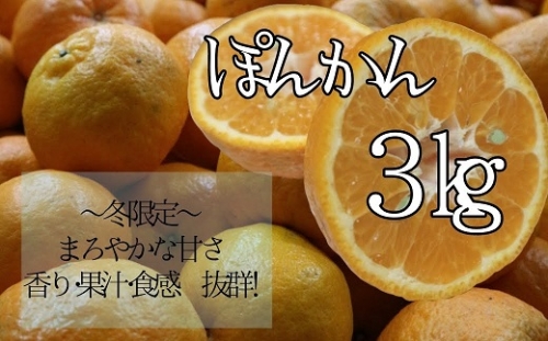 早川農園のぽんかん（３kg）デコポンの親 みかん 柑橘 フルーツ 先行予約【R00095】 14153 - 高知県土佐清水市
