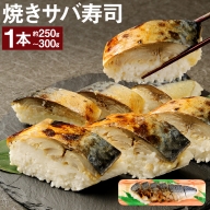 【A-61】土佐の焼きサバ寿司