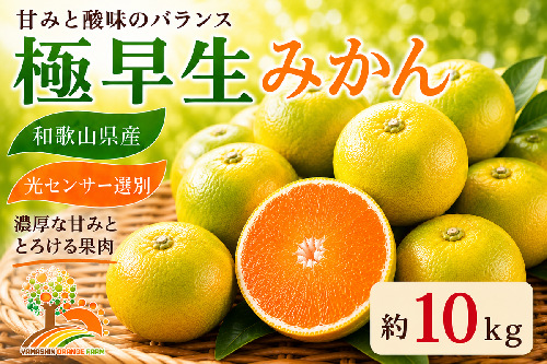 【先行予約】こだわりの極早生みかん 約10kg 農家直送 有機質肥料100% サイズ混合 ｜ みかん 極早生 早生 柑橘 果物 くだもの 果実 フルーツ 和歌山 有田 1415678 - 和歌山県美浜町