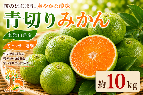 【先行予約】こだわりの青切りみかん 約10kg 農家直送 有機質肥料 100% サイズ混合 ｜ みかん 柑橘 果物 くだもの 果実 フルーツ 和歌山 有田 1415679 - 和歌山県美浜町