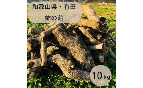 薪 キャンプ用 有田 柿の薪10kg(細木のみ) 1415961 - 和歌山県有田川町