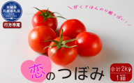 トマト　恋のつぼみ　2kg（茨城県共通返礼品・行方市産）