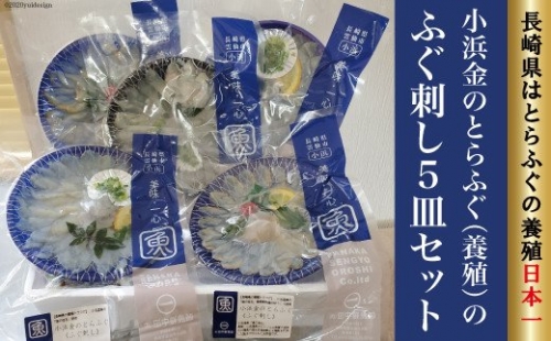 小浜金のとらふぐ「ふぐ刺し」5皿セット / 田中鮮魚店 / 長崎県 雲仙市 [item0869] / ふぐ フグ ふぐ刺し セット [item0869] 141598 - 長崎県雲仙市