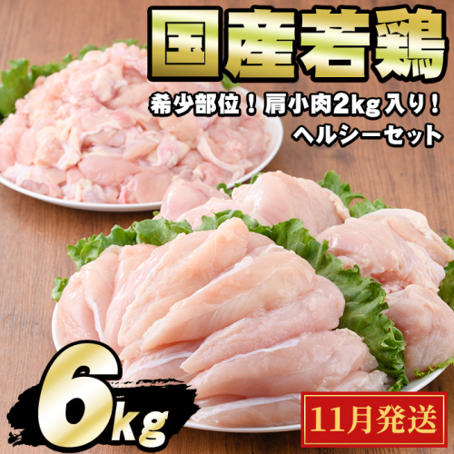 【0124806a-2511】＜2025年11月発送予定＞国産若鶏肉ヘルシーセット(合計6kg・ムネ、ささみ、肩小肉) 鶏肉 鳥肉 とり肉 むね肉 おかず 小分け 国産【エビス】 1416107 - 鹿児島県東串良町
