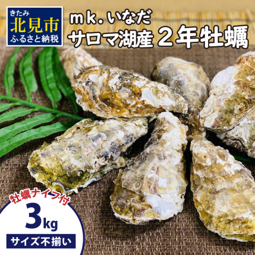 【予約：2024年11月上旬から順次発送】サロマ湖産 殻付き2年牡蠣 3kg サイズ不揃い ※牡蠣ナイフ付 ( カキ かき 3キロ 魚介 海鮮 貝 ふるさと納税 BBQ バーベキュー )【113-0009】 1416260 - 北海道北見市