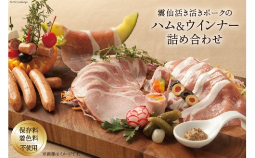 詰め合わせ 生ハムスライス 100g×2 ロースハムスライス 100g×2 ハーブウインナー 80g×1 計480g [プレミア・ニュー長崎 長崎県 雲仙市 item1802] ハム ウィンナー 生ハム スライスハム 141627 - 長崎県雲仙市