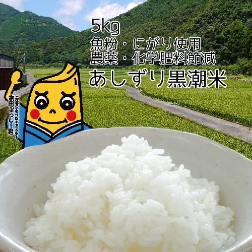 令和5年産 あしずり黒潮米5kg（コシヒカリ）精米 白米 ブランド米 ご飯【R00193】