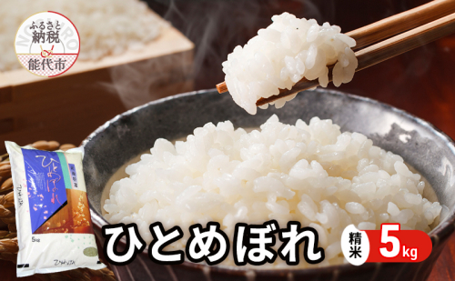 令和7年産 ひとめぼれ 精米 5kg 秋田県産 お米 米 ごはん ご飯 単一原料米   1416526 - 秋田県能代市