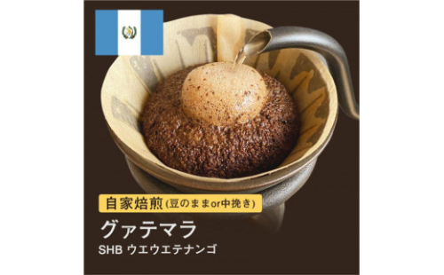 #004 グァテマラ SHB ウエウエテナンゴ コーヒー豆 310g 自家焙煎 大山珈琲（豆または粉から選択） 1416634 - 大阪府堺市