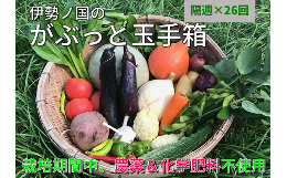 〜「伊勢ノ国のがぶっと野菜玉手箱とは」〜定期便でのお届け。450年前から続く農家が、はしもと農業スタイル（栽培期間中、農薬・化学肥料を使用しない循環型農法で、熱刺激栽培＋ミネラル栽培＋50℃洗い）で手