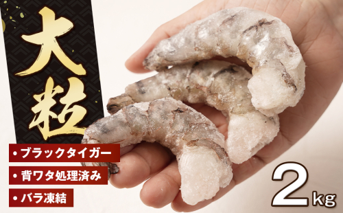 至福の大粒むきえび　背ワタ処理済 2kg（1kg×2袋）　ブラックタイガー 冷凍 ムキエビ  大型 海老 1416925 - 兵庫県淡路市