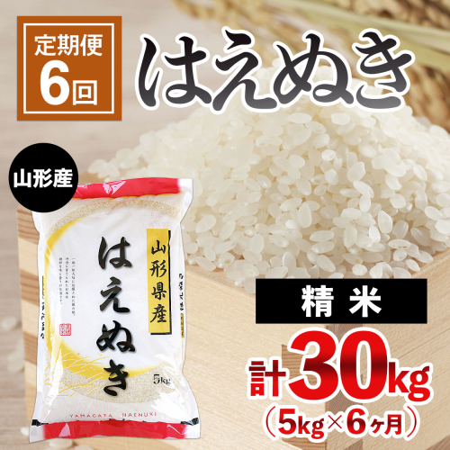 【定期便6回】山形産 はえぬき 5kg×6ヶ月(計30kg)  ブランド米 山形県 山形市 FZ24-473 141705 - 山形県山形市