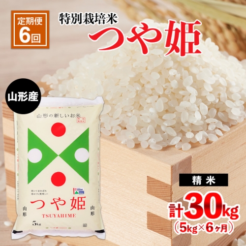 【定期便6回】山形産 特別栽培米 つや姫 5kg×6ヶ月(計30kg) FY21-332