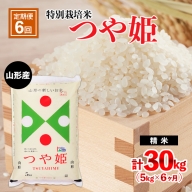 FY21-332 【定期便6回】山形産 特別栽培米 つや姫 5kg×6ヶ月(計30kg)
