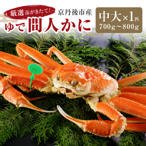 【11月発送】厳選湯がきたて！京丹後市産ゆで間人かに　700g～800g中大サイズ/北畿水産 1417173 - 京都府京丹後市