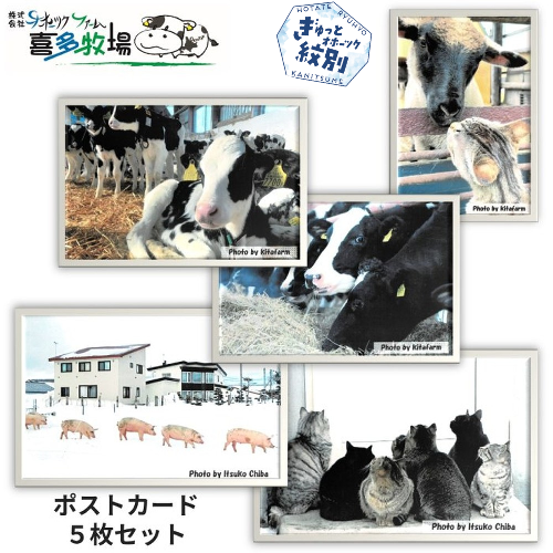 3-4 喜多牧場ポストカードセット 1417429 - 北海道紋別市