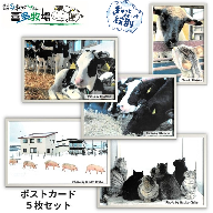 3-4 喜多牧場ポストカードセット