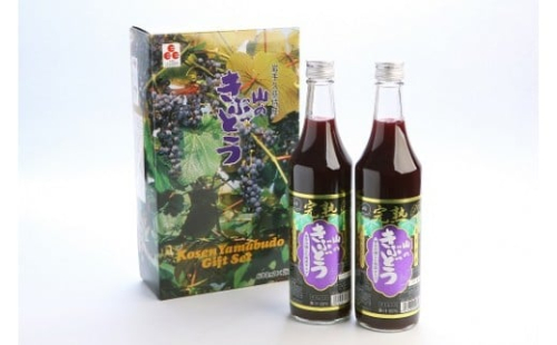 【濃厚！久慈産山ぶどうを３年間真空熟成】完熟山のきぶどう600ml×2本入 1417440 - 岩手県久慈市