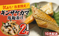 鮭【 訳あり / 限定 】国産 銀鮭 カマ 塩麹漬け 2kg 10月配送 冷凍 不揃い 家庭用 鮭  さけ サーモン 焼魚 惣菜 魚 カマ シャケ しゃけ 鮭カマ わけあり 希少 冷凍 数量限定 宮城県 石巻市