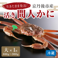 かに卸し問屋がお届け・浜競り厳選！幻の活間人ガニ 800ｇ～900ｇ 大サイズ（11月発送）／北畿水産