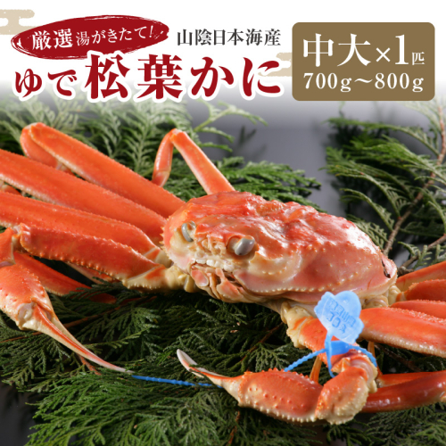 かに卸問屋がお届け・自社釜ゆで！山陰沖ゆで松葉がに 700ｇ～800ｇ 中大サイズ（11月発送）／北畿水産 1417837 - 京都府京丹後市