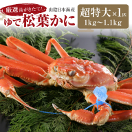 【12月発送】厳選湯がきたて！山陰日本海産ゆで松葉かに　1kg～1.1kg超特大サイズ/北畿水産