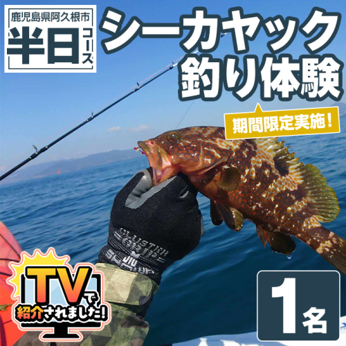 期間限定実施『パズル』オリジナル！シーカヤック釣り体験チケット(半日/1名) 阿久根 釣り シーカヤック アウトドア アクティビティ 自然 体験 ツアー チケット 海 マリンスポーツ 魚【パズル】akn098-03 1417862 - 鹿児島県阿久根市