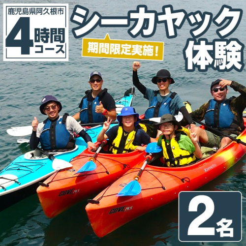 期間限定実施 シーカヤック体験チケット(4時間/2名) 阿久根 シーカヤック アウトドア アクティビティ 自然 体験 ツアー チケット マリンスポーツ【パズル】akn098-06 1417865 - 鹿児島県阿久根市