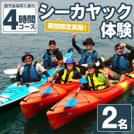 期間限定実施 シーカヤック体験チケット(4時間/2名) 阿久根 シーカヤック アウトドア アクティビティ 自然 体験 ツアー チケット マリンスポーツ【パズル】akn098-06