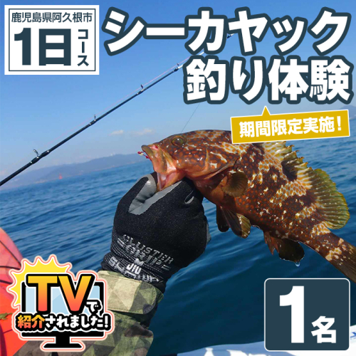 期間限定実施『パズル』オリジナル！シーカヤック釣り体験チケット(1日/1名) 阿久根 釣り シーカヤック アウトドア アクティビティ 自然 体験 ツアー チケット 海 マリンスポーツ 魚【パズル】akn098-09 1417868 - 鹿児島県阿久根市