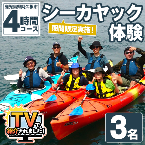 期間限定実施 シーカヤック体験チケット(4時間/3名) 阿久根 シーカヤック アウトドア アクティビティ 自然 体験 ツアー チケット マリンスポーツ【パズル】akn098-11 1417870 - 鹿児島県阿久根市
