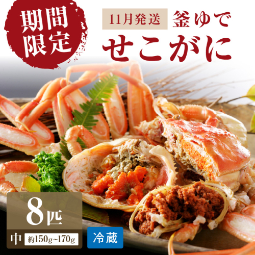 【期間限定・冬の味覚！】釜ゆでせこがに 中サイズ（150ｇ～170ｇ） 8匹入り （11月発送）／北畿水産 1417873 - 京都府京丹後市