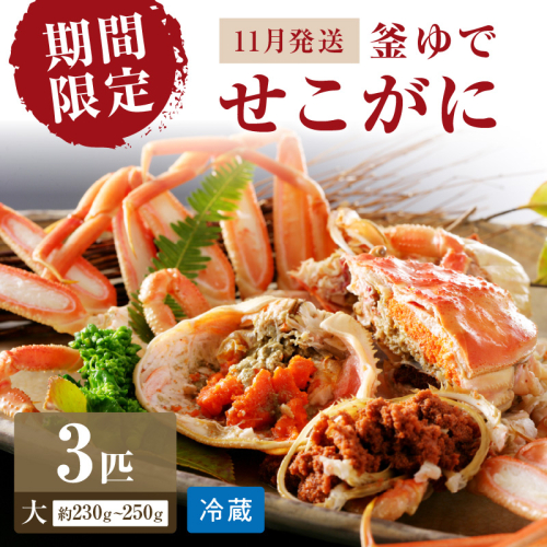 【期間限定・冬の味覚！】釜ゆでせこがに 大サイズ (230ｇ～250ｇ) 3匹入り （11月発送）／北畿水産 1417875 - 京都府京丹後市