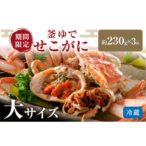 【12月発送】先行予約！山陰日本海冬の味覚　釜ゆでせこがに　食べ応えのある大サイズ3匹入り/北畿水産 1417876 - 京都府京丹後市