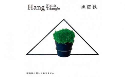 GRAVIRoN Hang Plants シリーズ Triangle 黒皮鉄（プランツハンガー） 141793 - 愛知県幸田町