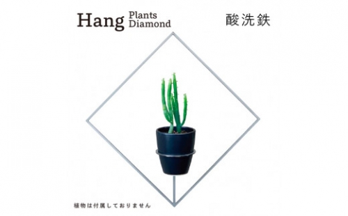 GRAVIRoN Hang Plants シリーズ Diamond 酸洗鉄（プランツハンガー） 141796 - 愛知県幸田町