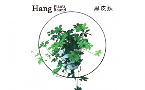 GRAVIRoN Hang Plants シリーズ Round 黒皮鉄（プランツハンガー） 141797 - 愛知県幸田町
