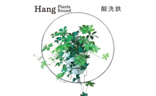 GRAVIRoN Hang Plants シリーズ Round 酸洗鉄（プランツハンガー） 141798 - 愛知県幸田町