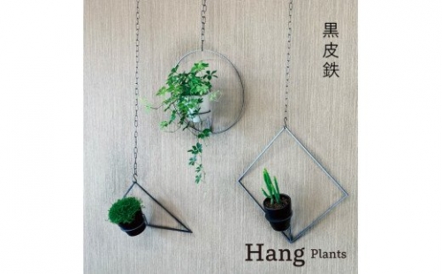 GRAVIRoN Hang Plants シリーズ Triangle/Diamond/Round セット 黒皮鉄（プランツハンガー） 141799 - 愛知県幸田町