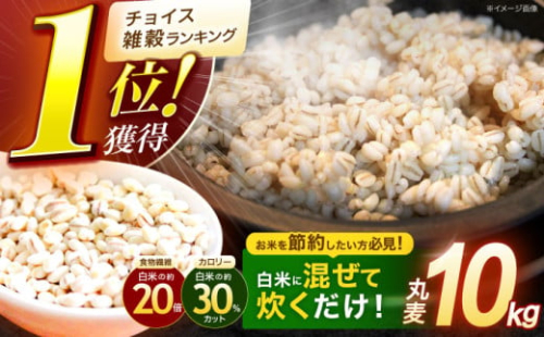 長崎県産 丸麦 10kg / 麦 むぎ 雑穀 雑穀米 麦ごはん 10kg 麦飯 麦みそ 食物繊維 長崎県産 米 こめ コメ ※ / 諫早市 / 有限会社伊東精麦 [AHBU005]