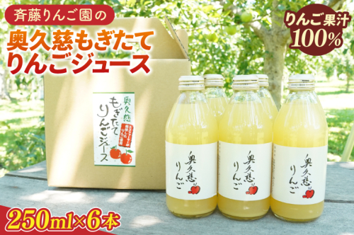 斉藤りんご園の奥久慈りんごジュース（ストレート）250ml×6本セット（化粧箱入り）（CG006） 1418277 - 茨城県大子町