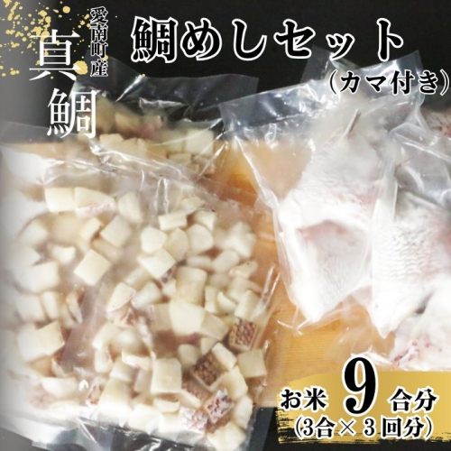 鯛めしセット （180ｇ×３パック） カマ付き まだい 鯛 冷凍 ダイスカット サイコロ コロコロ 角切り 鯛めし 釜めし 炊き込みご飯 10000円  おかず 惣菜 つまみ 入れるだけ 国産 魚介 特産品 魚介類 海産物 鮮魚 養殖 産地直送 海鮮 ブランド 簡単 お正月 お祝い 年末 年始 クリスマス パーティ お食い初め パック 愛南町 愛媛県 愛南サン・フィッシュ 1418331 - 愛媛県愛南町