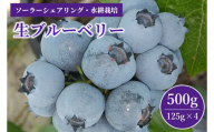 (生)ブルーベリー 500g 冷蔵 茨城県産 水耕栽培（AW001）