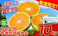 訳あり みかん ひとくちもぎたてみかん 約10kg (10kg×1箱) S-3Sサイズ 訳あり S SS 3S ご家庭用 10kg 熊本県産 （荒尾市産含む） 小玉みかん 訳ありみかん ご家庭用みかん フルーツみかん 熊本みかん ちょっと訳あり 期間限定 フルーツ 秋 旬 柑橘 小玉 みかん 温州みかん《9月中旬-10月下旬頃出荷》