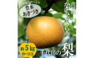 ＜2025年出荷受付＞茨城県　千代田の梨(豊水・秋月いずれか)約5kg【1329113】