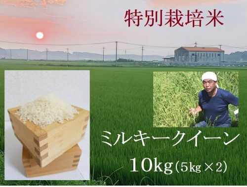 【３月発送】特別栽培米 ミルキークイーン 10kg | 安心 精米 もちもちした食感 こだわりの農法　TC‐0403