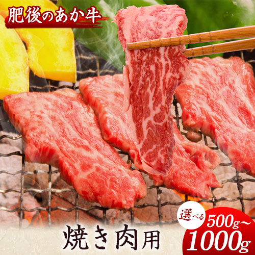 肥後のあか牛 焼き肉用 500g 1000g 長洲501 熊本 特産 あか牛《30日以内に出荷予定(土日祝除く)》 1419050 - 熊本県長洲町