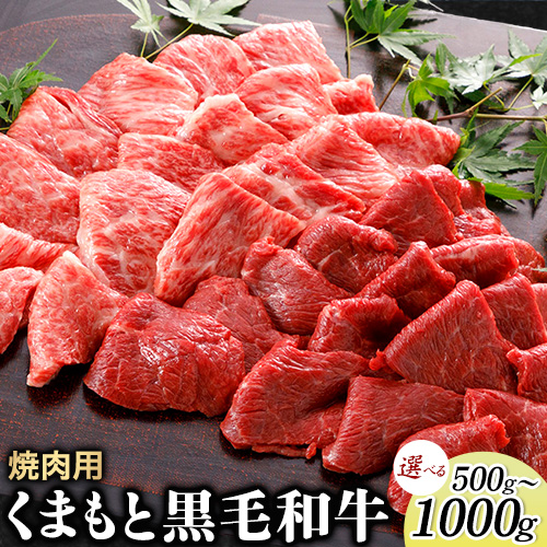 牛肉 くまもと黒毛和牛 焼肉用 500g 1000g 肉 黒毛和牛 焼肉 長洲501《30日以内に出荷予定(土日祝除く)》 1419052 - 熊本県長洲町